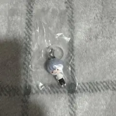EVA POCKET めじるしアクセサリー　カヲル