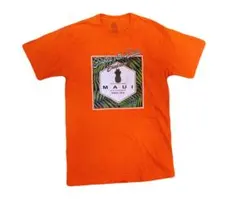 Item thumbnail for item bab38fad-3863-493c-99de-a3bd821aed71