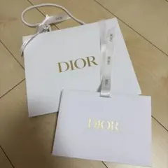 DIOR 袋