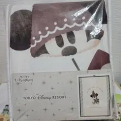 新作 ディズニー クリスマス 2025 リルリンリン 毛布