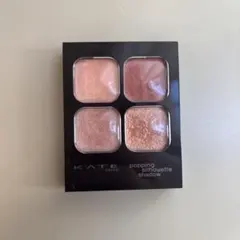 KATE ケイト　ポッピングシルエットシャドウ EX-2ホットレッドポップ