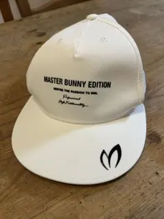 Item thumbnail for item 75f179f7-7675-45d5-8285-aedf5d62e281