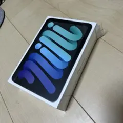 iPad mini (第6世代) 64GB Wi-Fi