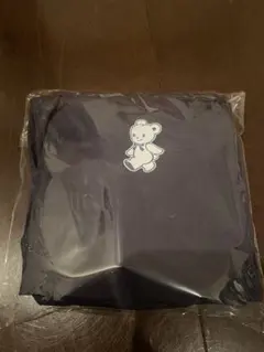 Item thumbnail for item 77a6264d-70ae-464a-9fa4-bbda5c981543