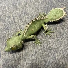 未開封品 OZWRT Agave Leaf Tailed Gecko 17cm エダハアガベヤモリ』Verオテロイ Satanic Agave Leaf Tailed