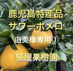 （鹿児島特産品）由美様専用① サワーポメロ　箱満杯詰　いちき串木野市産