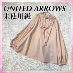 極美品✨UNITED ARROWS オーガンジー フリル リボン ブラウス