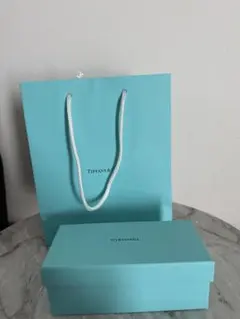 Tiffany & Co. ショッパー袋のみ