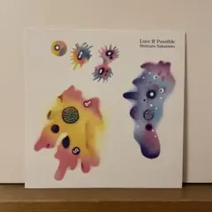 2枚セット 坂本慎太郎 好きっていう気持ち ツバメの季節に 7インチ美品