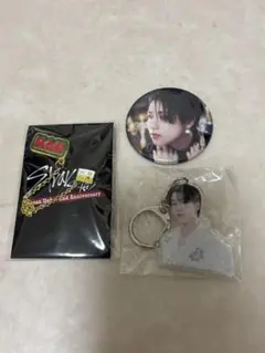 Stray Kids HAN ハン　ハンジソン　公式品