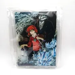 魔法使いの嫁 推しちゃれ BIGアートアクリルスタンド - メルカリ
