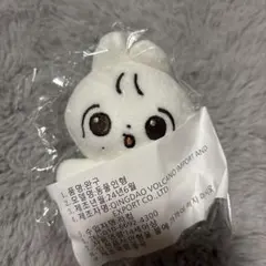 JEONGHAN ぬいぐるみ・ライト・ステッカーセット JEONGHAN ジョンハン SEVENTEEN セブチ CARAT棒 デコ ステッカー