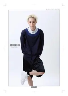 【大型配送タイプ】菅田将暉 掲載ページ（折り目なし）約40cm