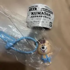 クマタン　マルチカラフルチャーム