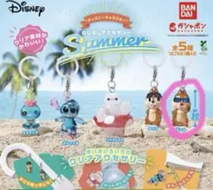 ディズニー　めじるしアクセサリー　SUMMER デール