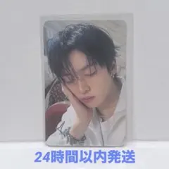 【リノ】トレカのみ SKZOO PLUSH COLLECT CASE