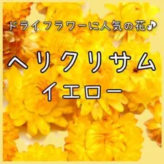 hide様 リクエスト 4点 まとめ商品