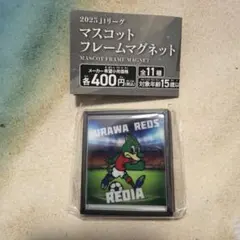 浦和レッズ　Jリーグクラブ　マスコットフレームマグネット ガチャ