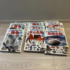 Item thumbnail for item 2949751b-5fff-4716-b433-9ada663f19c9