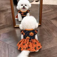 【購入前プロフ必読】犬服 ハロウィン ワンピース 小型犬 ペット服 S-XL