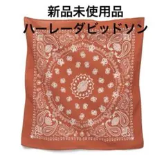 Item thumbnail for item de04355b-3067-47c5-811e-9a404e17cbd8