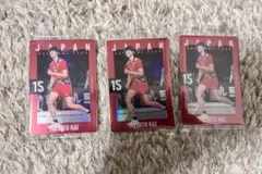 男子バレー 日本代表 ツインウエハース 甲斐優斗