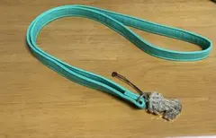 オペラグラスストラップ【グリーン】／ディズニー