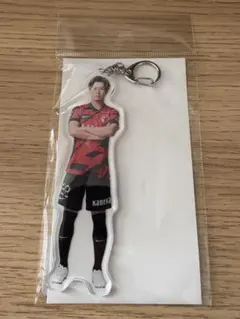 Item thumbnail for item 1c6923a4-8da6-41b1-86a4-1e1c404baf53