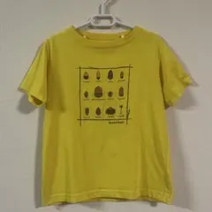 モンベル　Tシャツ　どんぐり　140 イエロー