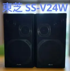 Panasonic SB-AS30 アクティブサブウーハー スピーカー 生産終了