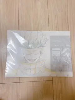 呪術廻戦 原画クリアファイル