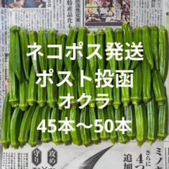 オクラ 45本〜50本のサムネイル