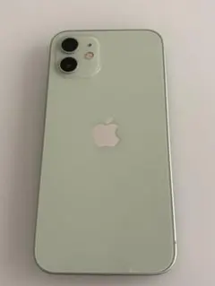 Apple iPhone 12のサムネイル