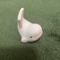 名古屋港水族館 ベルーガ おみくじ 中身はありません