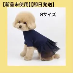 Item thumbnail for item 2aca09b8-723d-4032-b139-ba414e069866