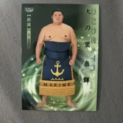 パ*ム様 BBM2024 前頭 大の里 泰輝