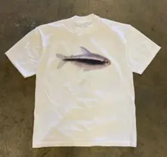 アクネ Acne GOJINA DYED Tシャツ 白 15U173 - メルカリ