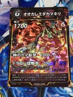 オオカレエダカマキリ