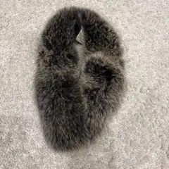 2025年最新】フォックス ファー マフラーの人気アイテム - メルカリ