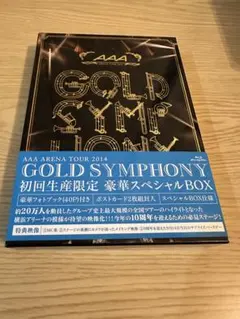 AAA ARENA TOUR 2014 GOLD SYMPHONY
