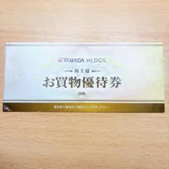 ヤマダ電機 お買物優待券　5000円分(500円券×10枚)