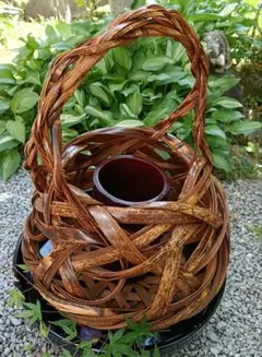 高級】虎竹 やたら編み 花かご ハンドル付き 竹細工 筒付き 花器 華道