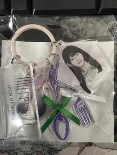 池田瑛紗 個別アクリルキーホルダー/まとめ売り Amazon.co.jp: 乃木坂46 池田瑛紗 個別全身アクリルキーホルダー 5種