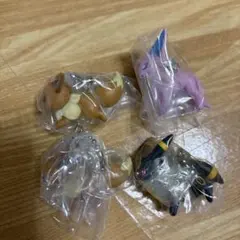 ポケモン　イーブィ　ガチャ　4種