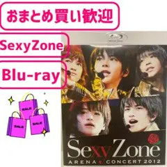 Sexy Zone/アリーナコンサート2012 初回限定・メンバー別 バック・…