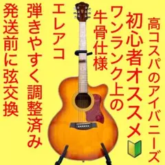 【牛骨☆エレアコ】Ibanez☆アイバニーズ【弾き易く調整☆新品の弦】のサムネイル