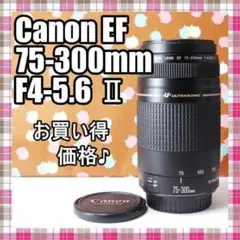 ✨大人気望遠✨お買い得✨Canon EF 75-300mm F4-5.6 Ⅱのサムネイル