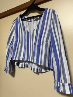 青と白のストライプ Vネック クロップドシャツ