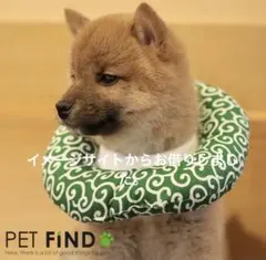 Item thumbnail for item 26518e24-df18-4af1-ad8e-f5a065178fe2