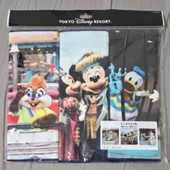 ディズニー　ミニタオル3枚セット　ミッキー&ミニー、ドナルド&デイジー
